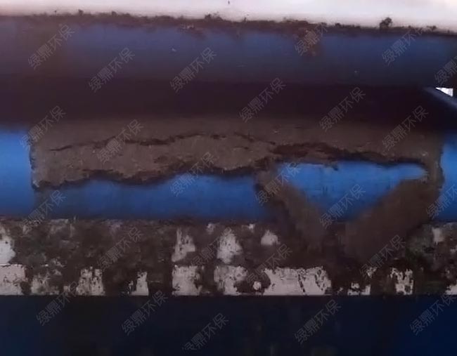 糞便固液分離 （豬糞類(lèi)）